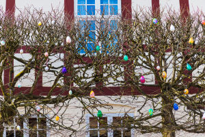8087 - Easter eggs on Ringkøbing trees at Ringkøbing hotel