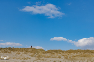 12062 - Couple arm in arm on dune