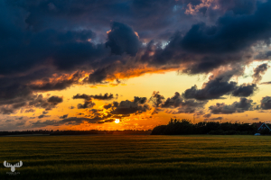 d072_0510