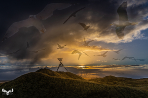 11070 - Husby Klit Båke seamarkat sunrise with gulls - art version