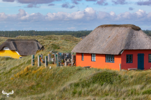 13701 - Summer cottages in dunes at Vedersø Klit