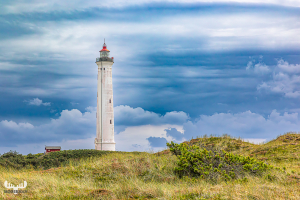 13729 - Nr.Lyngvig Fyr lighthouse and dune hills