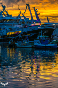 13734 - Ships in Hvide Sande harbour with sunset