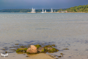 13745 - Sailing ships and water landscape