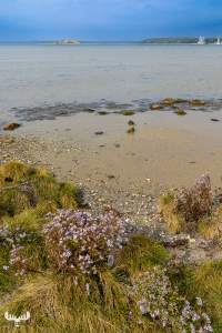 13748 - Kalo Slotsruin and Egens Vig