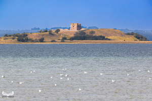 13750 - Kalo Slotsruin, Egens Vig