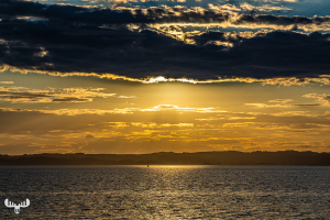 13826 - Ebeltoft Havn - Sea view at sunset