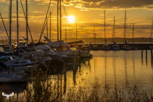13828 - Ebeltoft Havn - Harbor with boats at sunset
