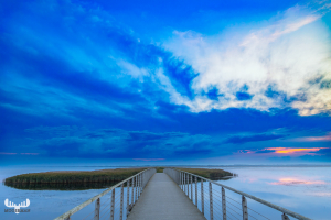 13970 - Bagges Dæmning bridge and island in Ringkøbing Fjord