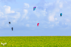 13988 - Kitesurfer behind green field