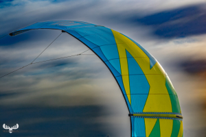 13990- Kitesurfer canopy detail