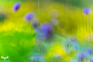 14027 - Flower Art with ICM