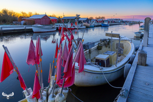 14121 - White frost at Stauning Havn harbour