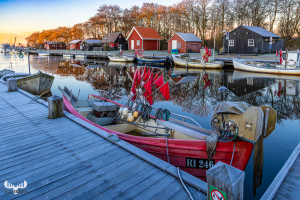14131 - Sunrise on a frosty morning at Stauning Havn harbour
