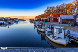 14135 - Sunrise on sky and trees at Stauning Havn harbour