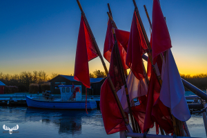 14136 - Morning sun through fishing boat flags at Stauning Havn harbour