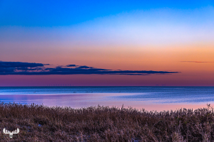 14145 - Sunset colors at Kloster surfspot at Ringkøbing Fjord