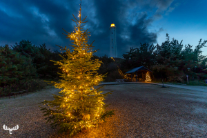 14149 - Nr.Lyngvig Fyr lighthouse with Christmas tree at night