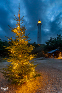 14150 - Nr.Lyngvig Fyr lighthouse in the evening - with Christmas tree