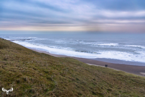 14164 - Bovbjerg Klint cliffs and North Sea and dusk pastel colors