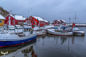 14178 - Ringkøbing Havn harbour in winter