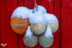14179 - Fishing net floats at red hut with snow