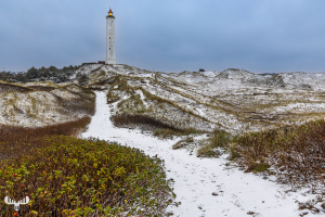 14184 - Nr.Lyngvig Fyr ligthouse with snowy landscape in winter