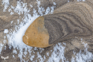 14187 - North Sea beach sand with stone and snow
