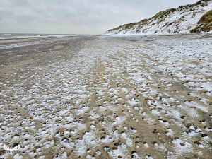 14190 - Winterly snow at North Sea beach and dunes