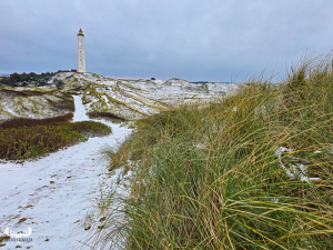 14191 - Nr.Lyngvig Fyr ligthouse, beach brass and landscape in snow