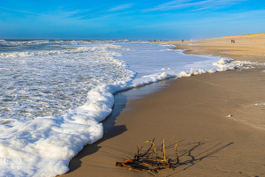 14217 - Søndervig Beach with people