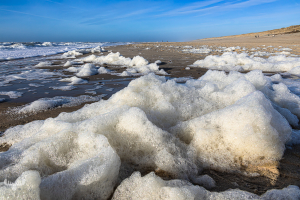 14218 - North Sea Beach with sea foam in Søndervig