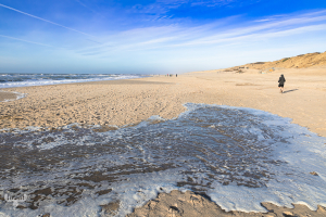 14219 - Søndervig Beach with wave on beach sand