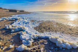 14221 - Søndervig Beach with bunkers and sea foam