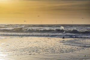 14230 - North Sea beach with wind turbines at Søndervig beach