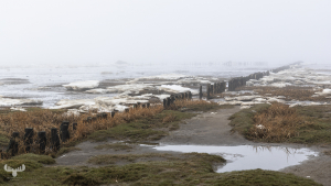 14239 - Ice at North sea at Wadden sea in winter
