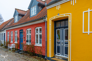14248 - Colorful houses in Ribe