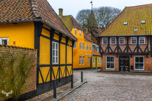 14257 - Street view in Ribe