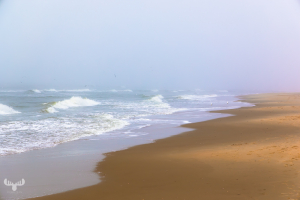14263 - Sortebædalen Strand North Sea in fog