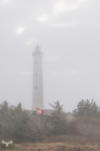 14292 - Nr.Lyngvig Fyr lighthouse in fog with Dannebrog flag