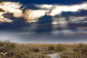 14294 - Magic sunrays breaking through clouds at Hvide Sande North sea beach