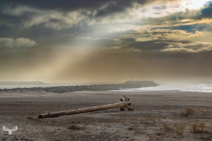14309 - Hvide Sande pier and driftwood log with dramatic light sky