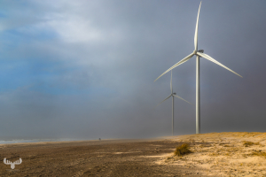 14312 - Hvide Sande beach with wind turbines and magic light