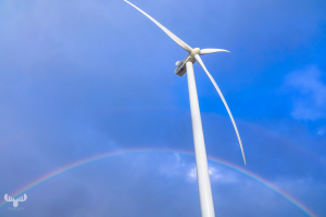 14313 - Wind turbine with rainbow at Hvide Sande beach