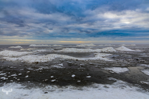 14317 - Ringkøbing Fjord in winter with ice piled up