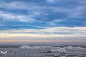 14328 - Ringkøbing Fjord in winter with ice piled up at sunset