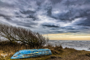14332 - Blue boat and tree at Ringkøbing Fjord in winter with ice piled up