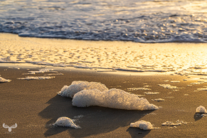14350 - Sea foam an sunset beach