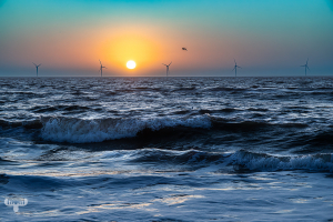 14360 - Waves, gulls and wind turbines at North Sea sunset