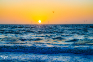14361 - Sunset at North Sea - dreamy atmosphere